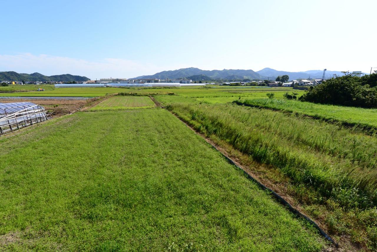 Haruno Guesthouse Kochi (Shikoku) Exterior foto